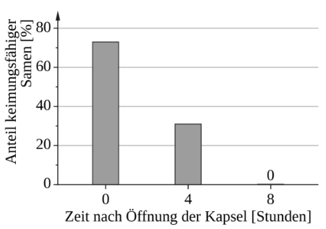 Balkendiagramm zum Keimungsanteil von Samen in Abhängigkeit von der Zeit nach Kapselöffnung.